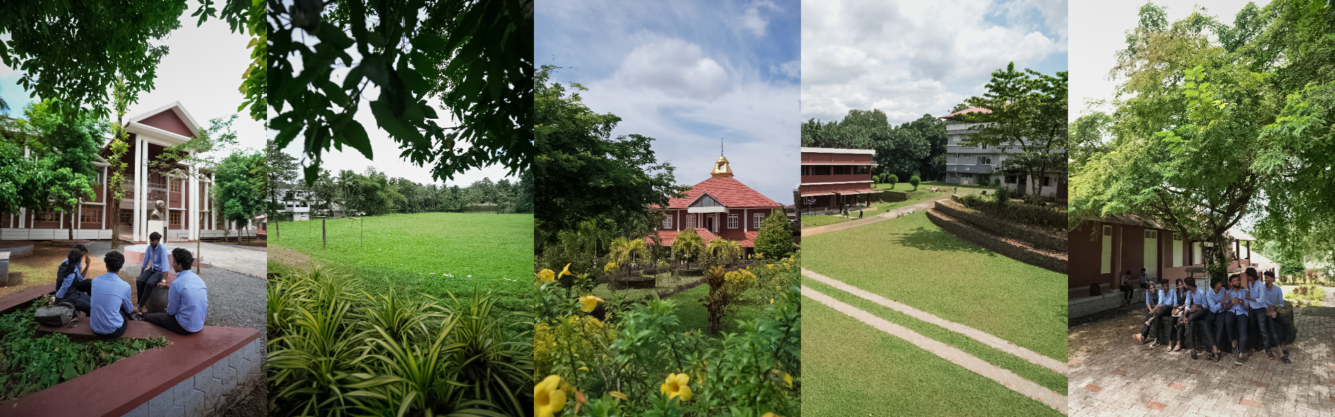 The green campus